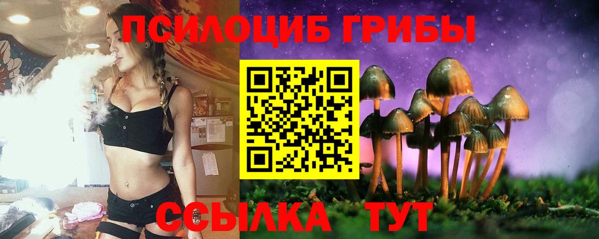 Ржев  Галлюциногенные грибы GOLDEN TEACHER  где продают   Вход с VPN 
