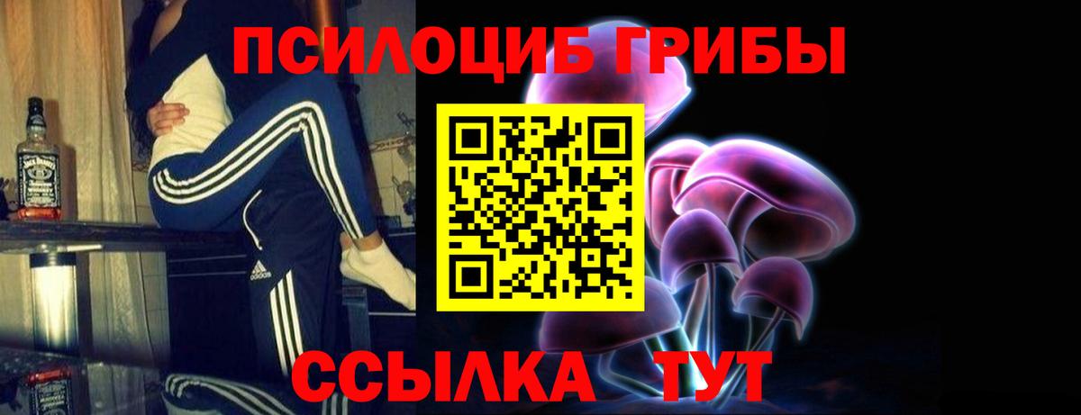 Псилоцибиновые грибы мухоморы Ржев